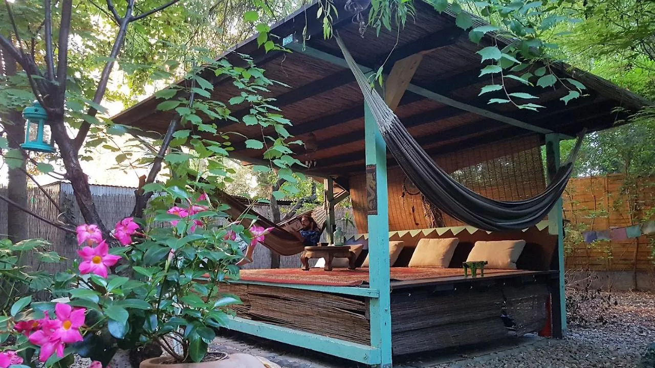 Shantee House Budapest Auberge de jeunesse