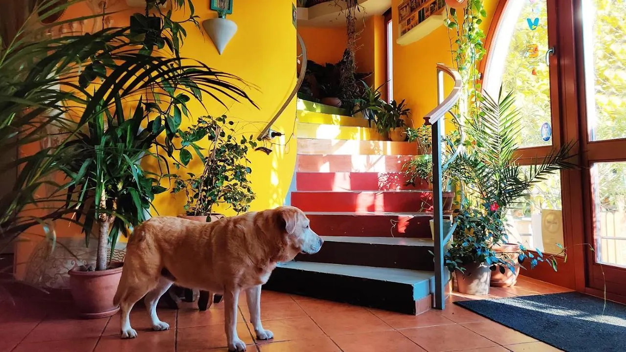 Hostel Shantee House Budapest Ungarn